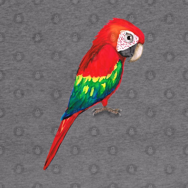 Scarlet macaw by Bwiselizzy